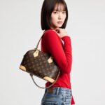 ALMA TRUNK BB Handbag